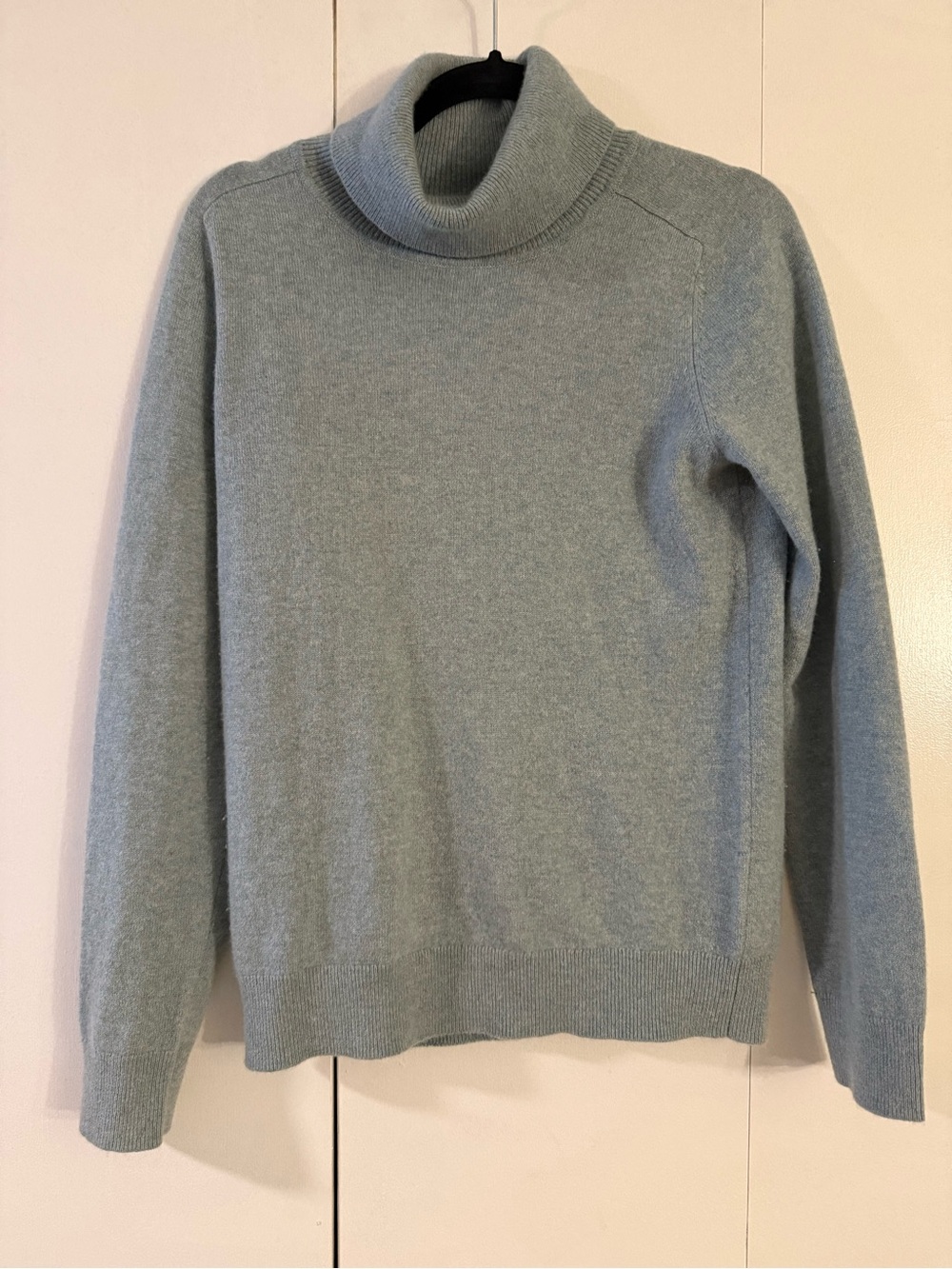Quince 100% cashmere turtleneck sweater | sage green | small